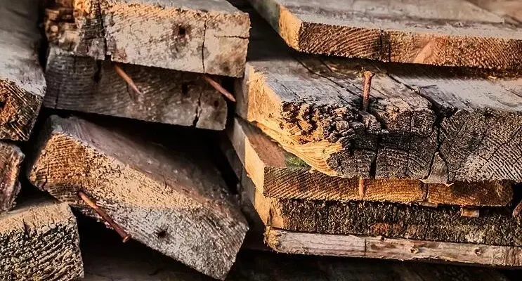 industrial wood waste shredder processing wooden strips scrap
